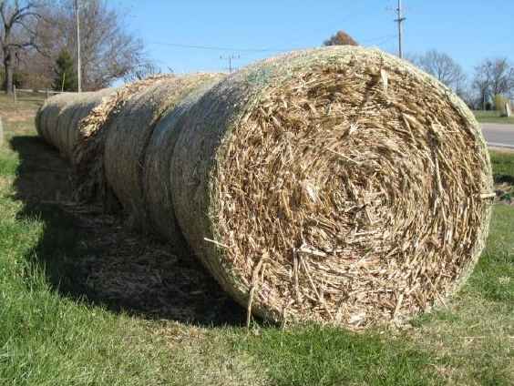 How Much does a Roll of Hay Cost