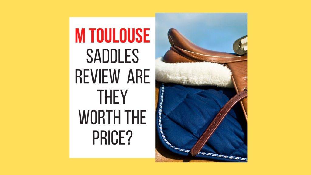 M Toulouse Saddles Review