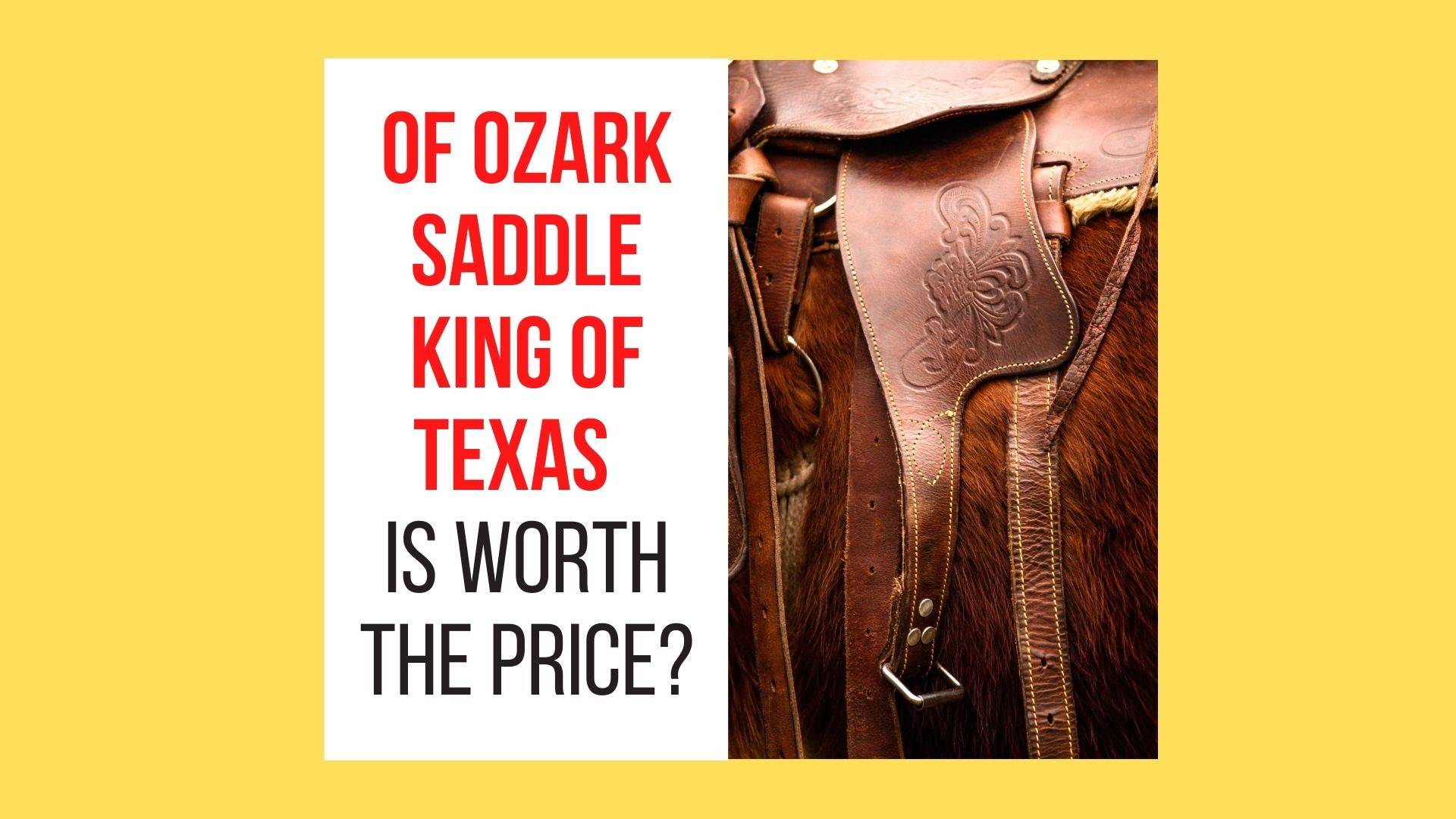 OF Ozark Saddle King of Texas Reviews