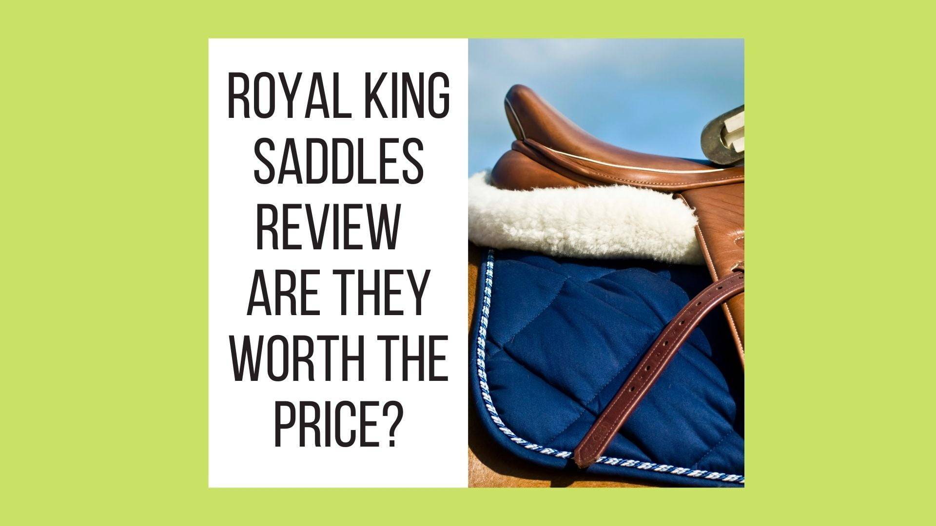 Royal King Saddles Review