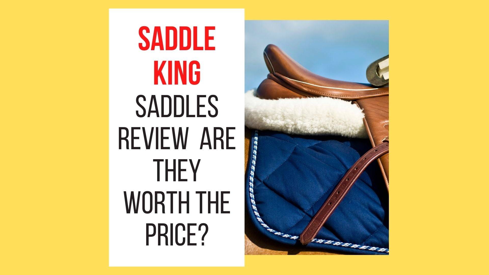 Saddle King Saddles Reviews
