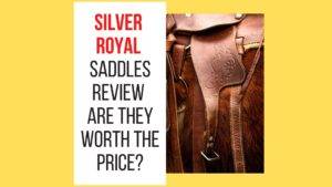 Silver Royal Saddle Reviews