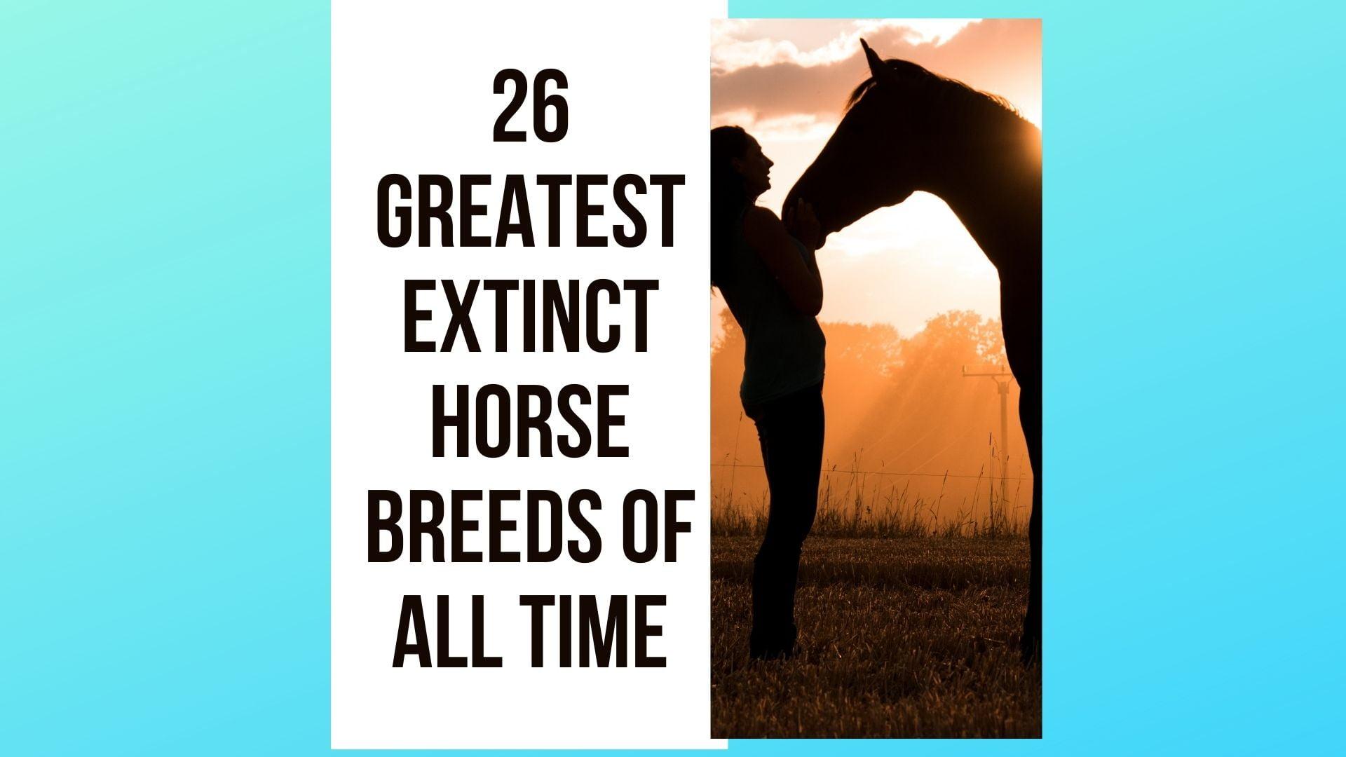 26 Greatest Extinct Horse Breeds Of All Time