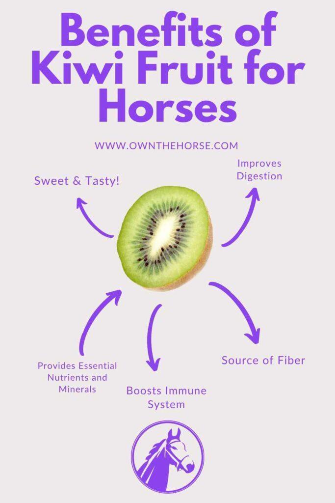 Can Horses Eat Kiwi Fruit & 3 Amazing Health Benefits