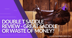 Read more about the article Double T Saddle Review – Great Value Saddle or Waste of Money?
