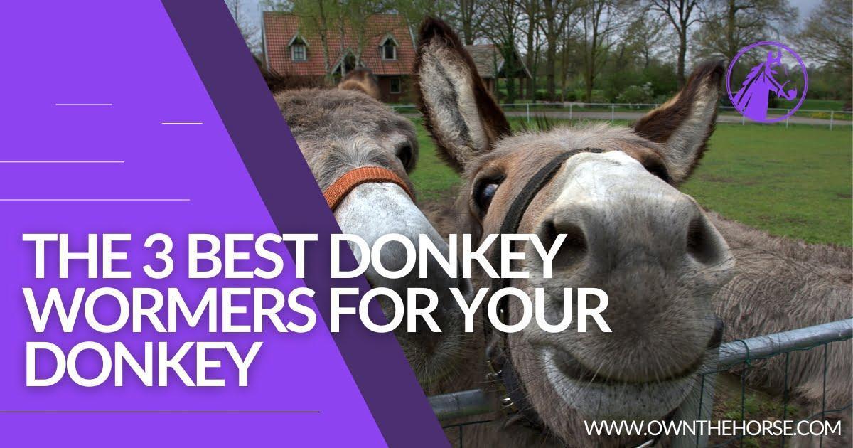 Read more about the article The 3 Best Donkey Wormers : Dewormers Reviewed