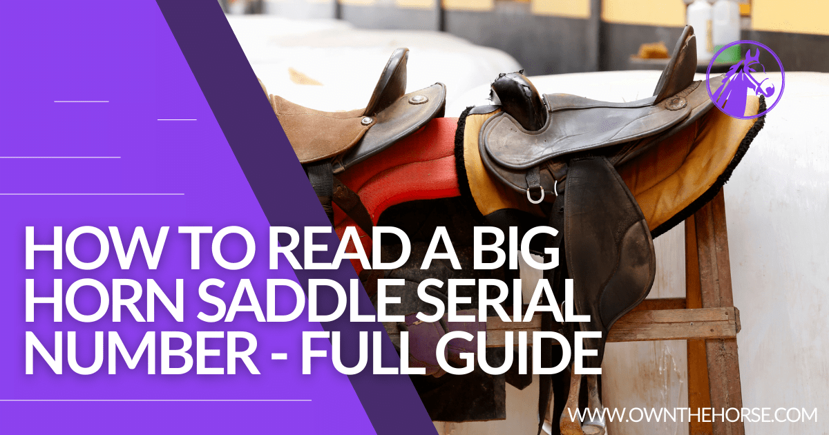 You are currently viewing How to Read a Big Horn Saddle Serial Number – Full Guide