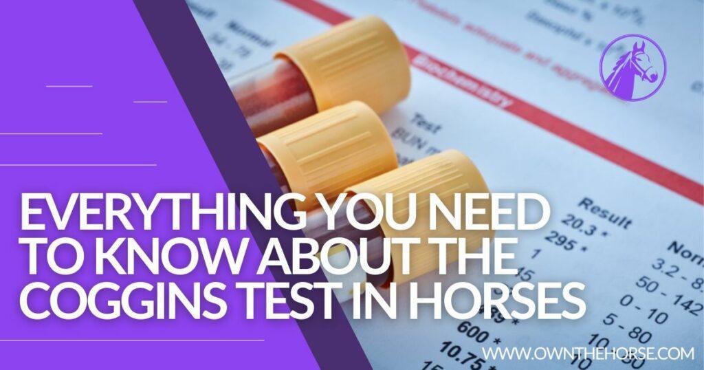 Everything You Need to Know About the Coggins Test in Horses