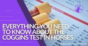Read more about the article Everything You Need to Know About the Coggins Test in Horses