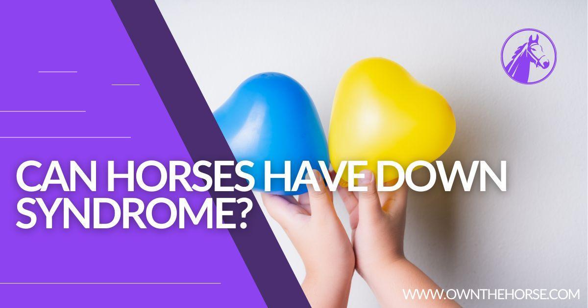 You are currently viewing Can Horses Have Down Syndrome? Everything You Need To Know