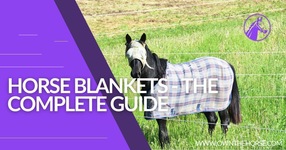Horse Wearing Horse Blankets