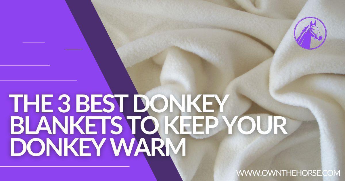 The 3 Best Donkey Blankets To Keep Your Donkey Warm