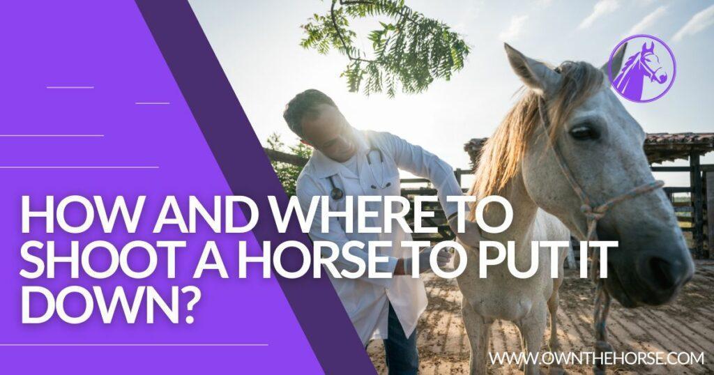 How and Where to Shoot a Horse to Put it Down?