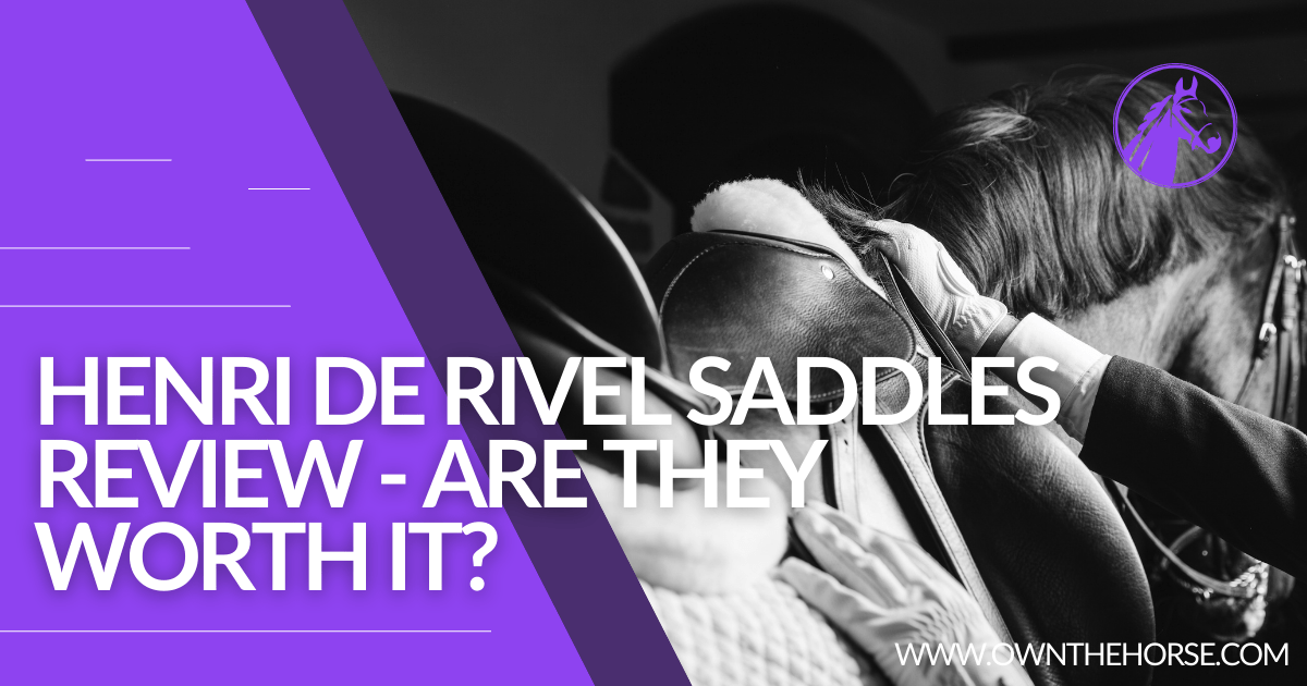Read more about the article Henri De Rivel Saddles Review – Are They Worth It?