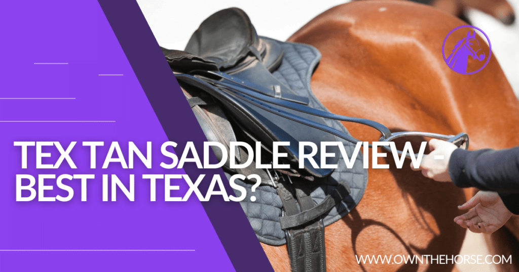 Tex Tan Saddle Review