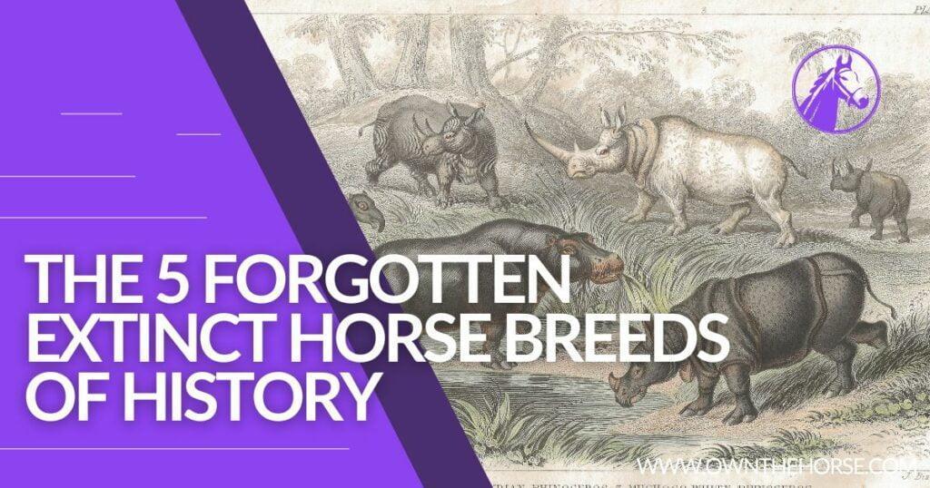 Extinct Horse Breeds