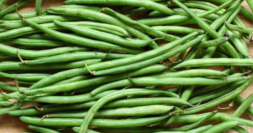 can horses eat green beans
