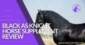 Read more about the article Black As Knight Horse Supplement Review 2023
