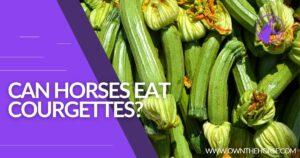 Read more about the article Can Horses Eat Courgettes?