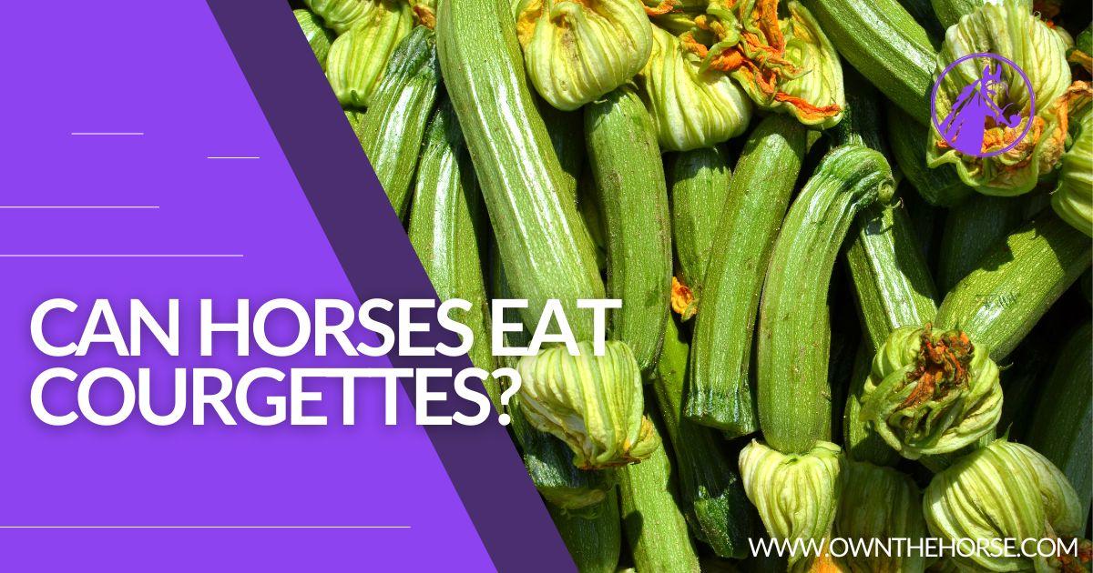 You are currently viewing Can Horses Eat Courgettes?