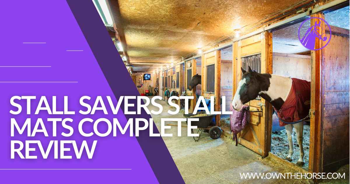 Read more about the article Stall Savers Stall Mats:  Complete 2023 Review