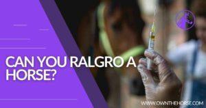 Read more about the article Can You Ralgro a Horse? Everything You Need To Know