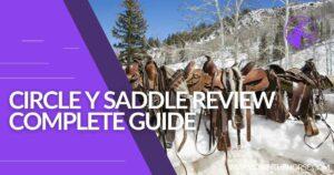 Read more about the article Circle Y Saddle Review – Complete Guide To Choosing The Perfect Saddle In 2023
