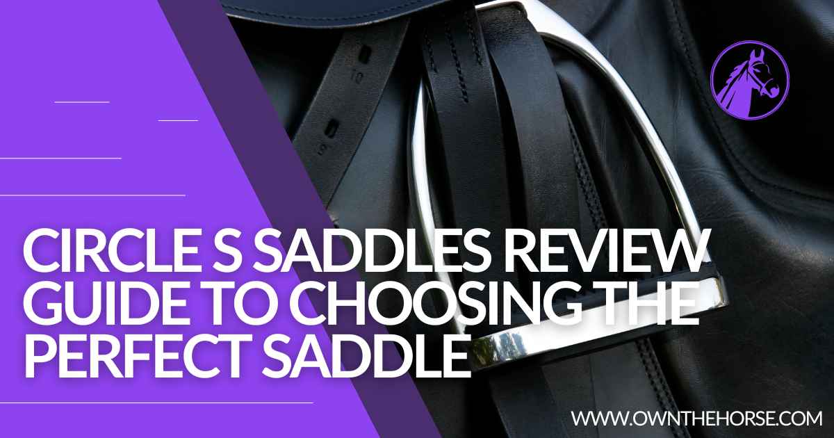 You are currently viewing Circle S Saddles Review – Guide To Choosing The Perfect Saddle In 2023