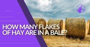 Read more about the article How Many Flakes Of Hay Are in a Bale?