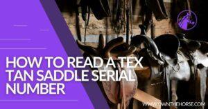 Read more about the article How To Read A Tex Tan Saddle Serial Number – Full Guide 2023