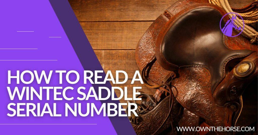 How To Read A Wintec Saddle Serial Number – Full Guide