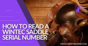 Read more about the article How To Read A Wintec Saddle Serial Number – Full Guide