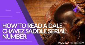 Read more about the article How to Read a Dale Chavez Saddle Serial Number – 2023 Guide