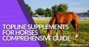 Read more about the article The Best Topline Supplements for Horses: Full Topline Guide