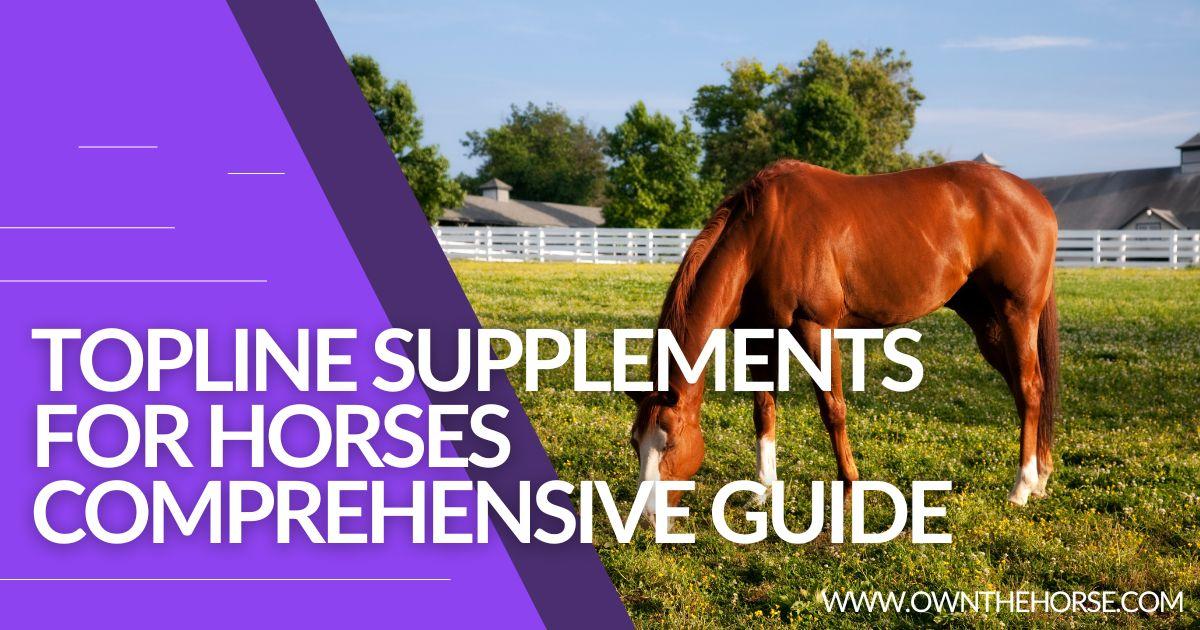 You are currently viewing The Best Topline Supplements for Horses: Full Topline Guide