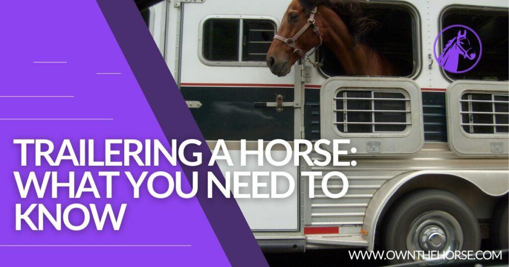 Trailering a Horse: What You Need to Know