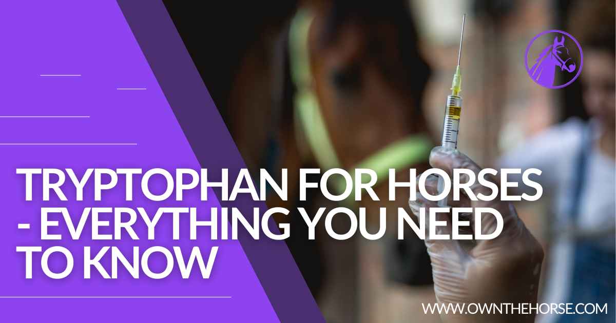 You are currently viewing Tryptophan for Horses – Everything You Need to Know