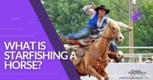 Read more about the article What Is Starfishing A Horse? Starfishing in Barrel Racing