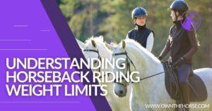 Read more about the article Understanding Horseback Riding Weight Limits
