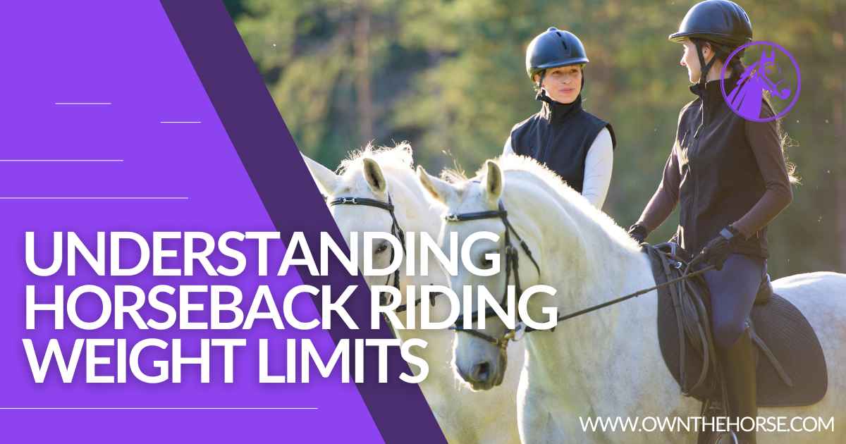 You are currently viewing Understanding Horseback Riding Weight Limits