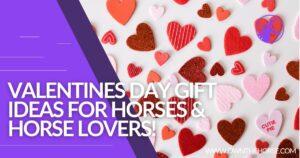 Read more about the article Valentines Day Gift Ideas For Horses & Horse Lovers!