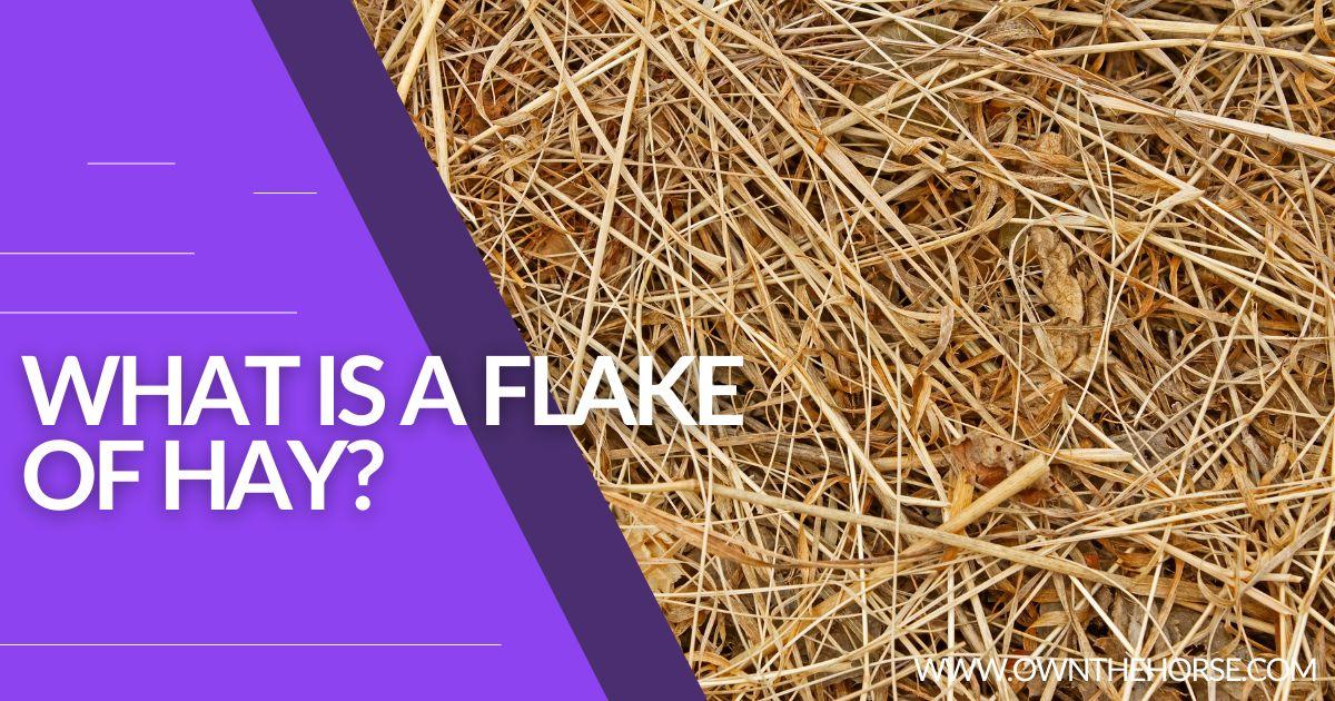 You are currently viewing What Is A Flake of Hay?