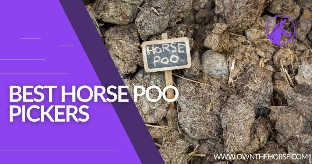 best-horse-poo-pickers-
