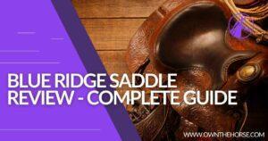 Read more about the article Blue Ridge Saddle Reviews – Complete Guide To Choosing The Perfect Saddle In 2023