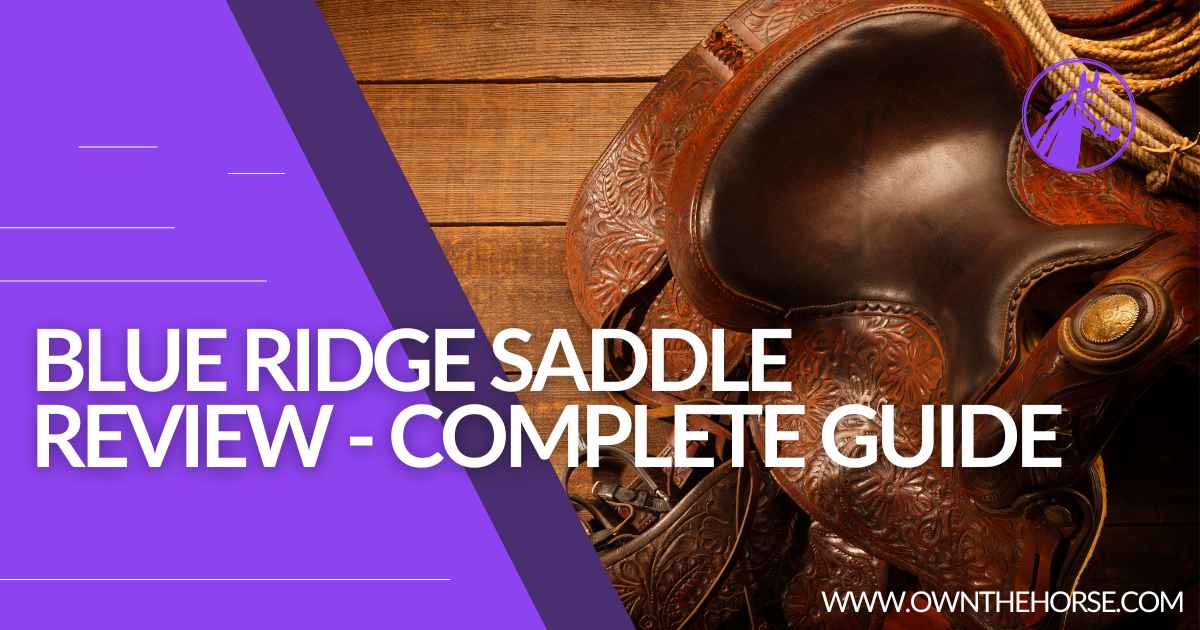 You are currently viewing Blue Ridge Saddle Reviews – Complete Guide To Choosing The Perfect Saddle In 2023