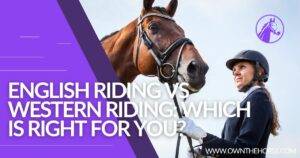Read more about the article English Riding vs Western Riding: Which is Right for You?