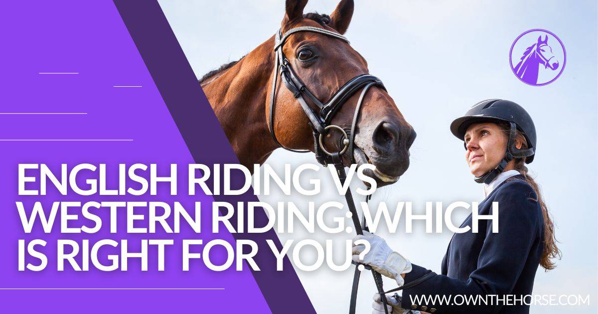 English Riding vs Western Riding: Which is Right for You?