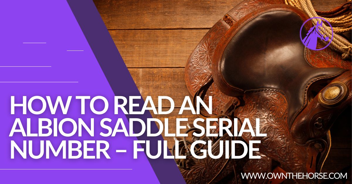How to Read an Albion Saddle Serial Number – Full Guide