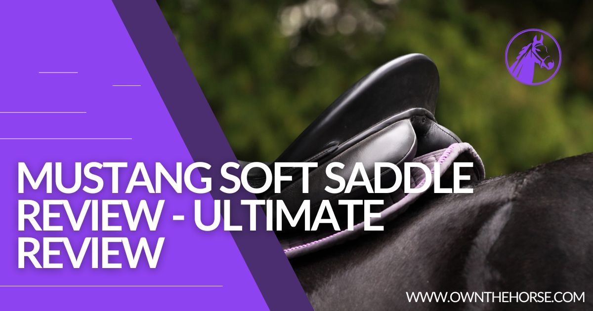 Mustang Soft Saddle Review - Ultimate Review