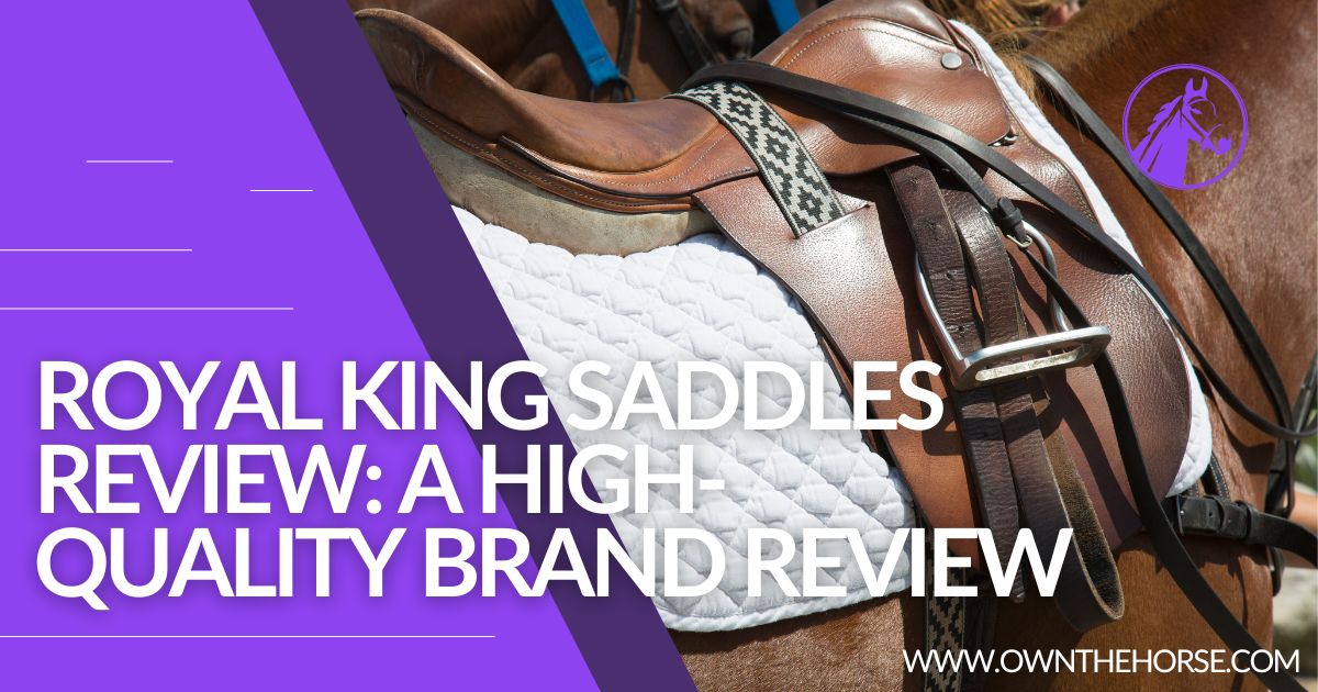 Read more about the article Royal King Saddles Review: A High-Quality Brand Review